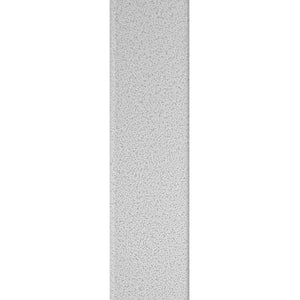 Caravan Canopy V Series 2 12'x12' Entry Level Angled Leg Instant Canopy (2 Pack)