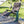 Lafuma LFM3123-7057 Futura Air Comfort XL Series Outdoor Relaxation Chair, Taupe