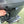Flushmaster Flush Port Quick Connect f/Yamaha Outboards