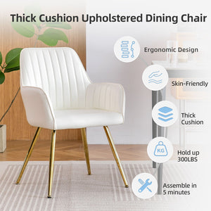Modern Mid Back Dining Chairs