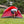 Coleman 6-Person Flatwoods II Lightweight Dome Camping Tent - Red