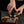 Vertical Striped Gravity Espresso Distributor - Stainless Steel Self-Leveling Tool 51/53/58mm From $16