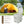5.3 Gallon 20 L Portable Travel Toilet for Camping RV Indoor Outdoor