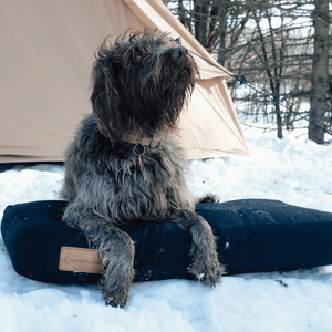 Dog Bed