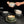Best Latte Art Cup for Home Baristas - Sawada Style Wide-Mouth Ceramic 300ml Under $11