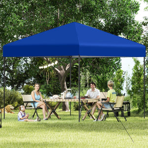 10 X 10 Feet Pop up Canopy Tent with Portable Carrying Bag and 8 Stakes