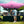 10 x 10 FT Outdoor Pop up Canopy Tent Easy Setup Gazebo Shelter with Wheeled Bag