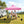 10 x 10 FT Pop up Canopy Tent with Sidewalls and Awning for Party Picnic Event