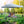 10 x 10 Feet Pop up Canopy Tent with Carrying Bag and 4 Sandbags
