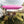 10 x 10 Feet Pop up Canopy Tent with Carrying Bag and 4 Sandbags