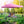 10 x 10 Feet Pop up Canopy Tent with Carrying Bag and 4 Sandbags
