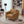 Cooper Lounge Chair