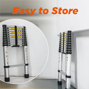 Telescoping Ladder 10.5FT