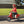 Razor Pocket Mod Miniature Euro 24 Volt Electric Retro Scooters, 1 Red & 1 Black
