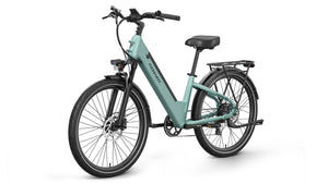 Poodle Ebike