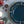Plastic Charger Plate (Set of 8) - Blue / Gold / Polypropylene