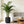 Large Round Planters Set of 2