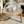 Large Cat Cave with 360° Immersive Cat TV and Wooden Legs