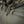 M‑Tac Tactical Jacket Flash