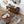 4 Light Chandelier, Hanging Light Fixture With Adjustable Chain For Kitchen, Bulb Not Included - Gold