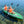 Inflatable Kayak 2 Person 11.5 Feet with Aluminum Paddles