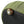 Upholstered Ottoman, Oval Shape