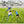 10 Sided Climbing Frame For Outdoor Playground With Colorful Climbing Stones