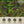DeWitt 14 Foot Garden Bird Barricade Plant Protector Deluxe Netting (2 Pack)