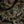M-Tac Alder Camouflage Suit Multicam