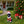 Festive Labrador Christmas Statue