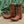 Women's Harness Boots | Brown Leather Harness Boots (M50039)