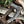 Vegvisir Viking Pizza Cutter Axe-Handforged Axe with Leather Sheath-1301