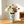 5.3x5.3x9.6' Flower Vase with Wide Mouth