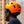 Dutch | XNITO Helmet | E-Bike Helmet