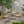 Cordella Outdoor Woven Wicker Chairs with Cushions Set of 2