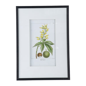 19.7x27.6 Botanical Wall Arts, Set of 2