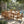 7 Pieces Acacia Wood Outdoor Dining Set