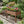 Elevated Raised Garden Bed For Outdoor