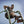 Stamina Products Outdoor Fitness Multi Use Strength Training Power Tower, Green