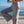 Women's Cloud Knit Wide Leg Pants
