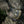 M-Tac Plate Carrier Lower Accessory Pouch Gen.II Small
