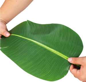 Bird of Paradise Artificial Plant - 6 Ft Tall Faux Banana Leaf Tree