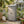 Outdoor Storage Shed With Vertical Tool Cabinet For Backyard