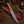 Brass Ridge Damascus Bowie Knife – Ash Wood Handle & Red Sheath