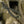 M-Tac Medical Pouch Elite Rip Off