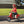 Razor Pocket Mod Mini Euro 24V 250W Electric Motor Scooter (2-Pack), Blue & Red - TRAPSKI
