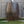 FCMP Outdoor 50-Gallon BPA Free Home Rain Water Catcher Barrel, Brown (3 Pack)