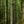 Muddy Huntsman Deluxe 17 Foot Hunting Ladderstand, 1 Person Climbing Tree Stand