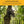 Hawk Big Denali 2 Man Climbing Tree Stand, 18 Foot Deer Hunting Ladderstand