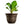HC Companies 13-Inch Wide Sierra Planter Round Plastic Planter, Nordic Bronze